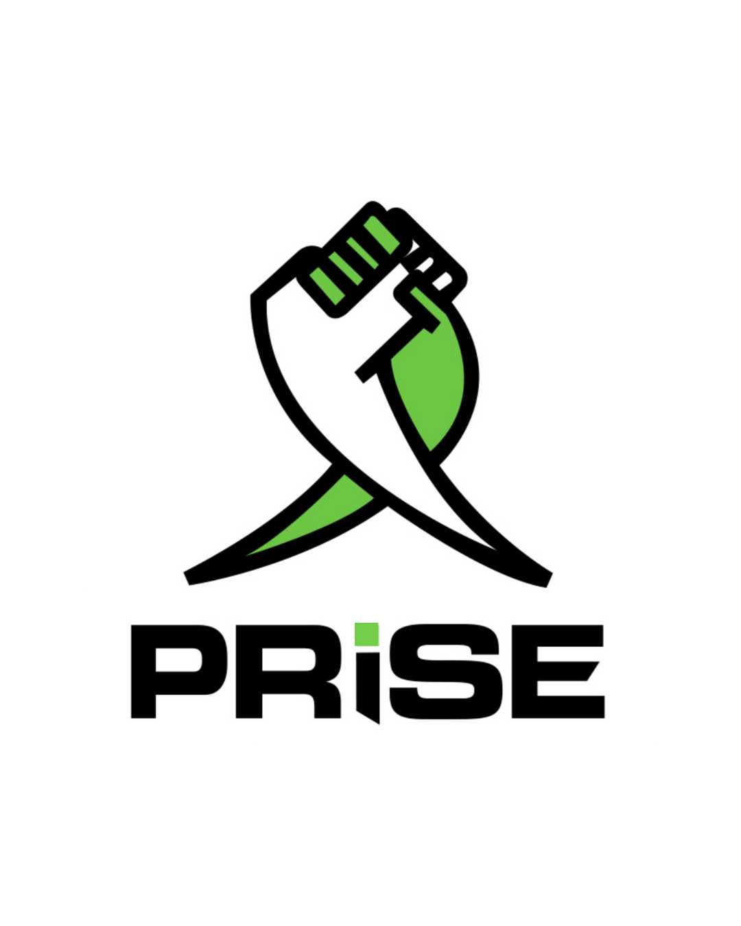 PRISE - Insertion socioprofessionnelle